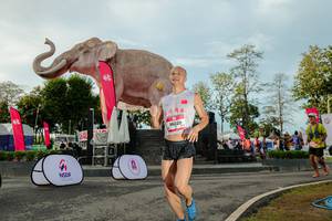 BIB: 
                            <button type="button" onclick="openModal(26529202)" class="btn btn-primary btn-sm float-right btn-popup" data-toggle="modal" data-target=".modal-high-quality">
                        <i class="fas fa-shopping-cart"></i> Add to Cart
                    </button>
                                            <button type="button" onclick="isThisMe(26529202, true)" class="btn btn-success btn-sm float-right btn-popup btn-isme hidden" data-toggle="tooltip" data-placement="bottom" title="นี่คือรูปของคุณใช่ไหม คลิกที่นี่เพื่อเอาเข้าอัลบั้ม">
                        <i class="fas fa-plus"></i> Add to album
                    </button>
                    <button type="button" onclick="isThisMe(26529202, false)" class="btn btn-warning btn-sm float-right btn-popup btn-isnotme hidden">
                        <i class="fas fa-ban"></i> Remove from album
                    </button>